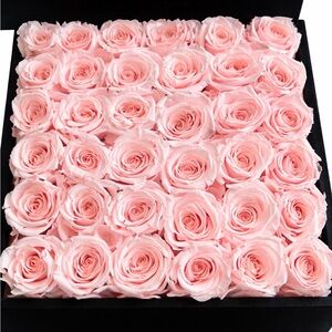 Forever Rose 36 roses.